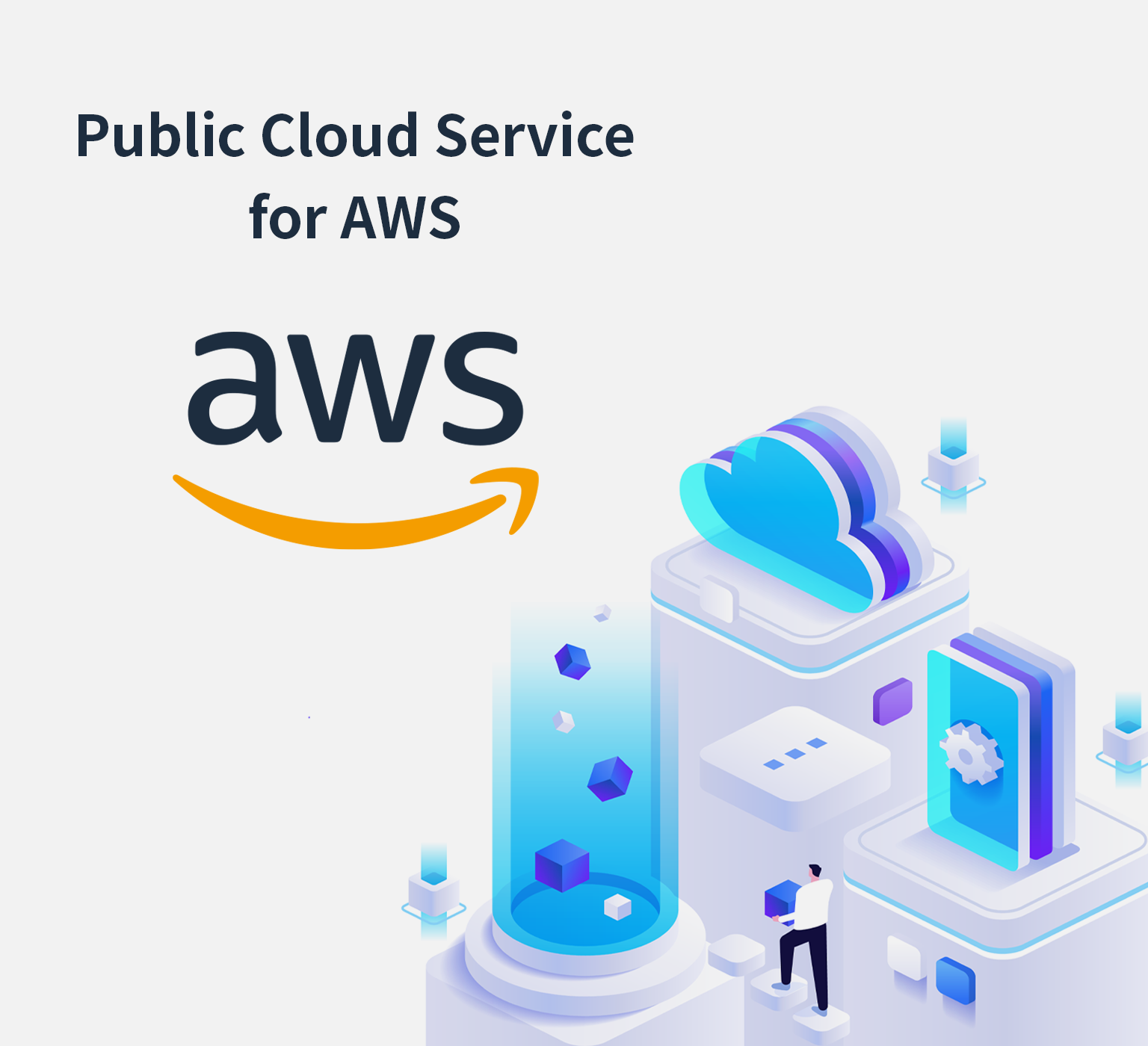 Public Cloud Service for AWS